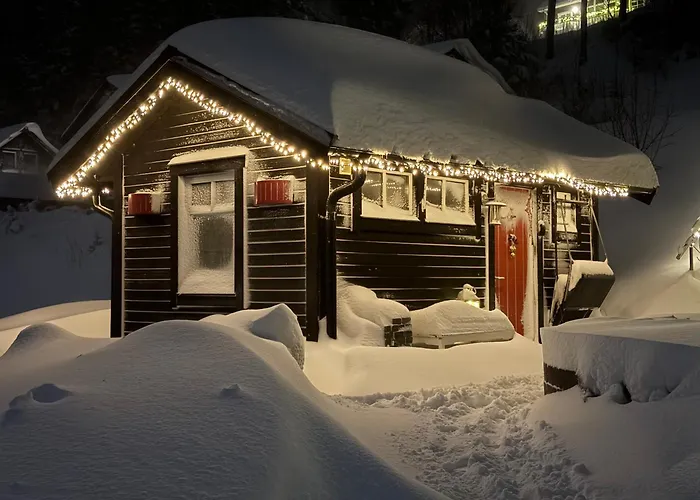Ministuga I Solbringen Tiny Cottage In Solbringen Are
